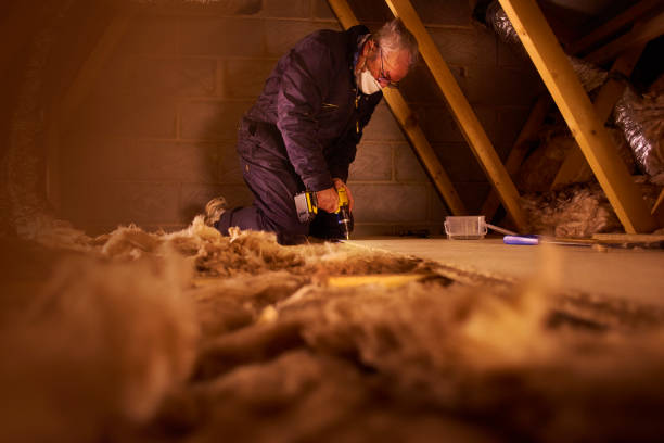 Best Specialized Insulation Services in Burlington, WI
